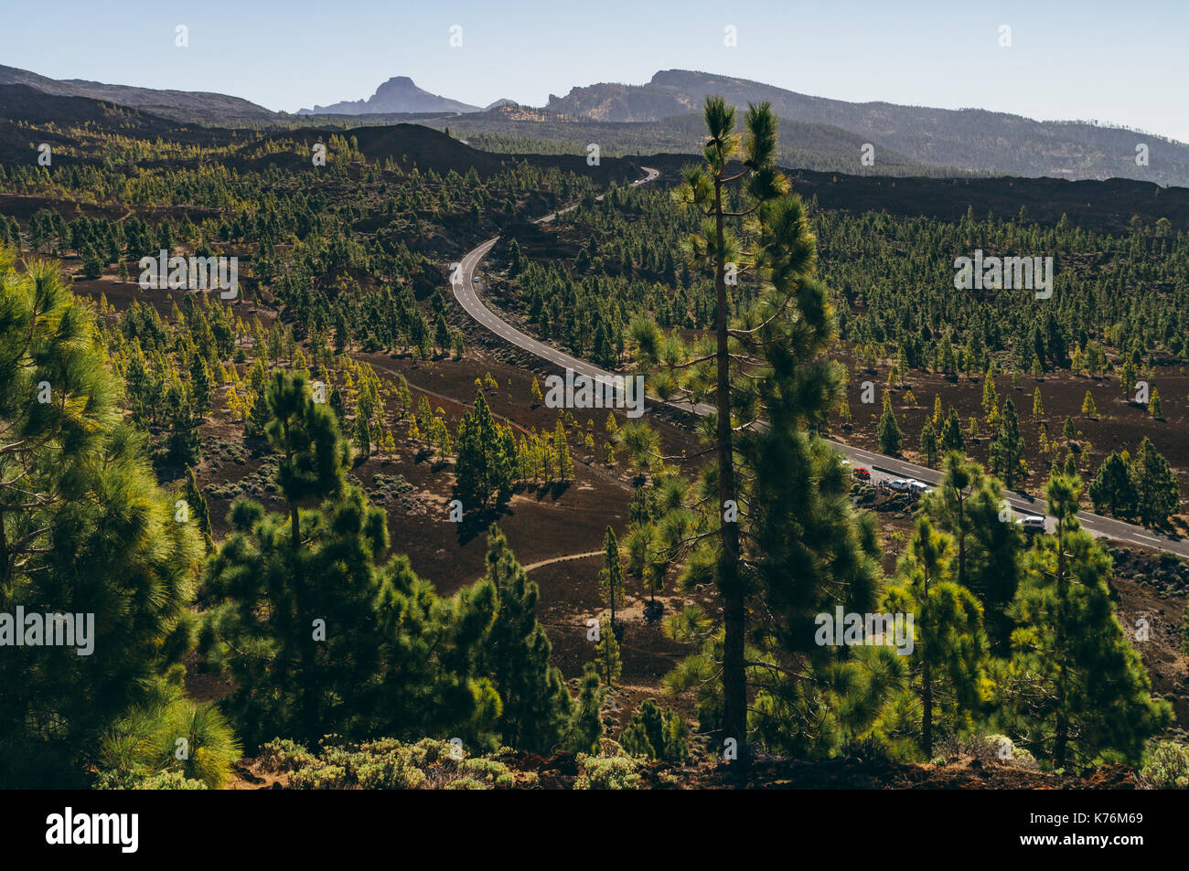 Strada che conduce attraverso il Parco Nazionale del Teide, isola di Tenerife, SPAGNA Foto Stock