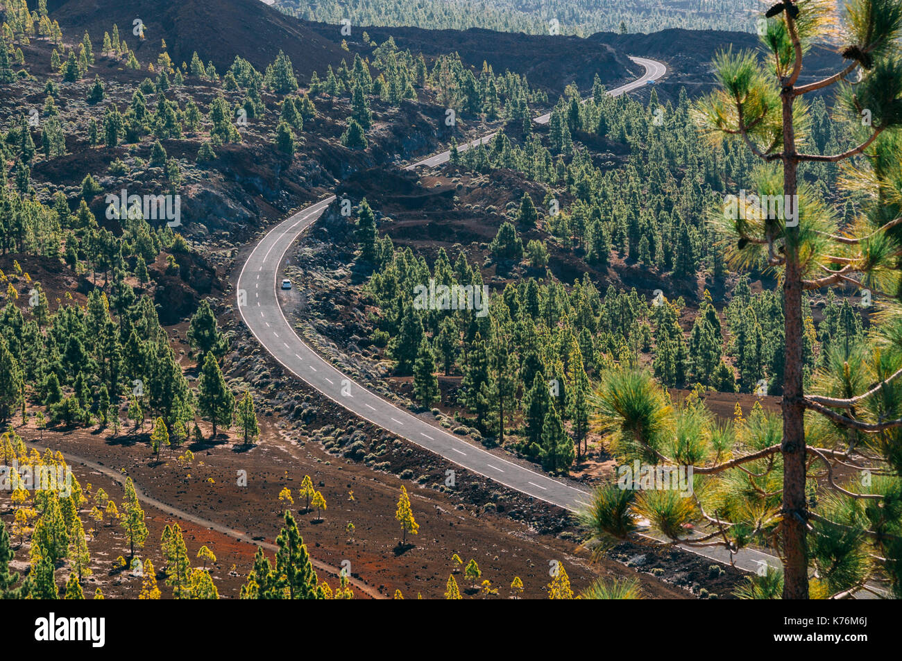 Winding Road nel Parco Nazionale del Teide, isola di Tenerife, SPAGNA Foto Stock
