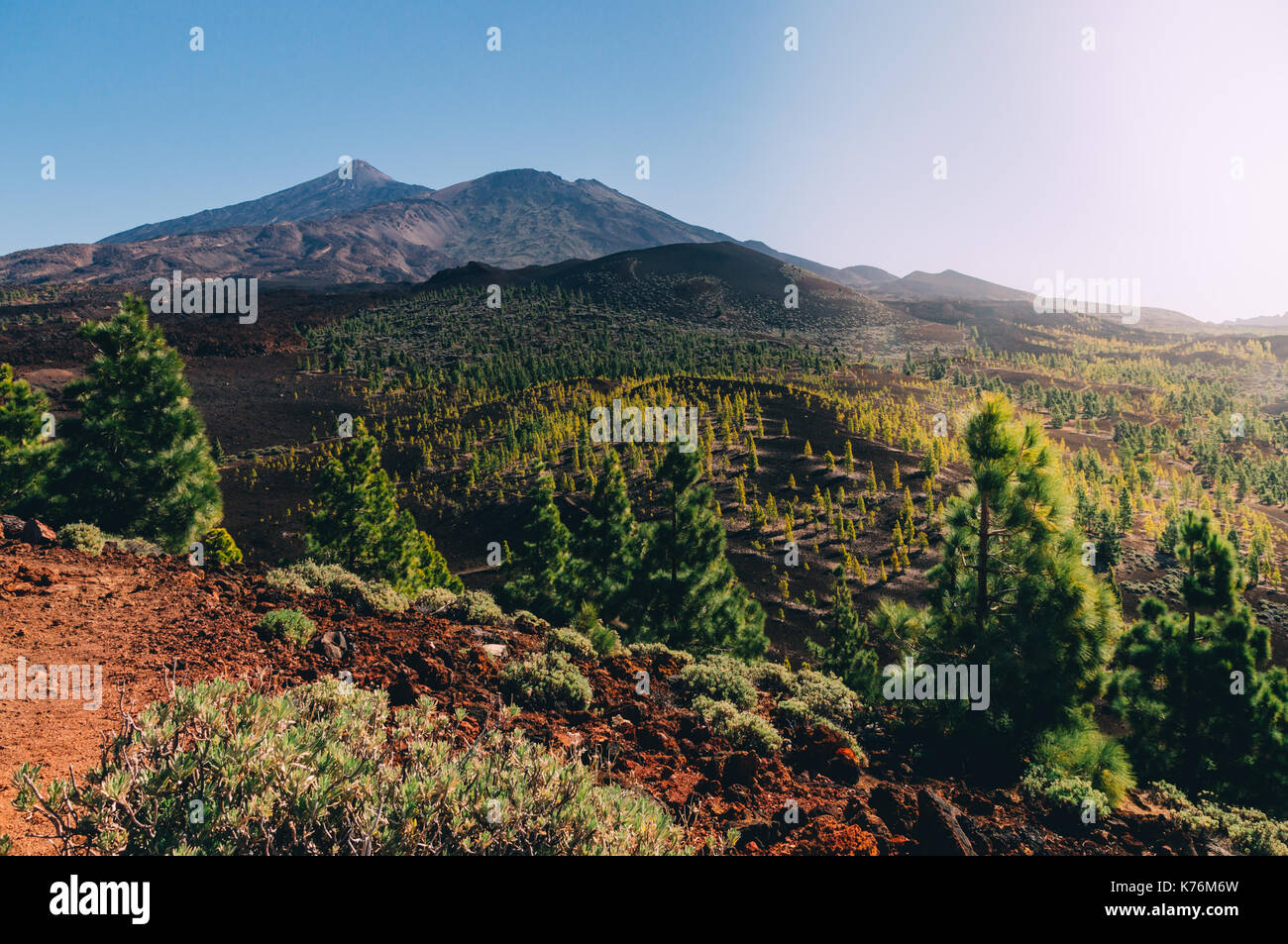 Si affacciano sul parco nazionale El Teide, isola di Tenerife, SPAGNA Foto Stock
