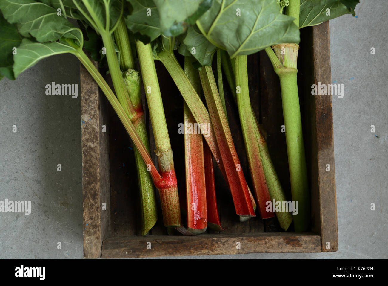 Raccolto di freschi maturi il rabarbaro in gabbia, fodd vista superiore Foto Stock