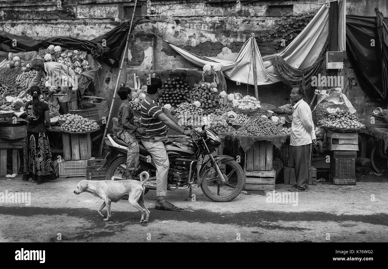 Impromptu stallo vegetali lungo sbriciolamento street con i fornitori pubblici e cane lungo la strada di Varanasi (India). Foto Stock