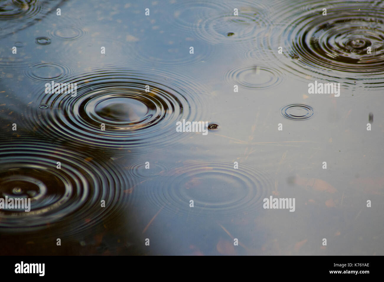 Macro foto di increspature d'acqua causate da gocce di pioggia in una piccola pozza. Foto Stock