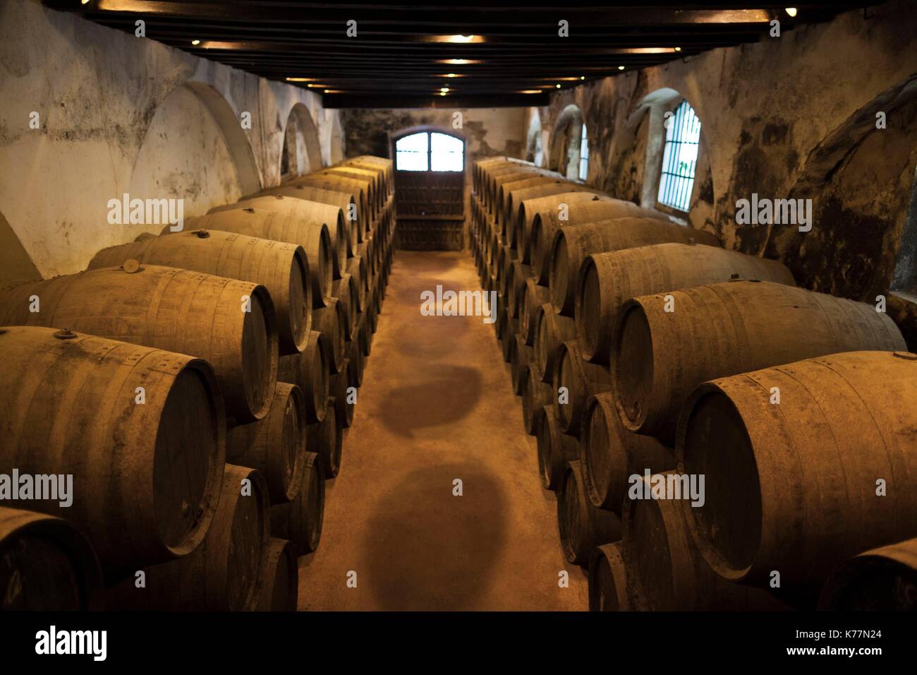 Spagna, Andalusia la regione, la provincia di Cadiz Cadice, Sherry area triangolare, Jerez de la Frontera, Bodegas Gonzalez Byass sherry botti Foto Stock