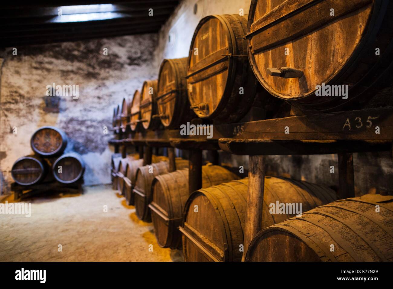 Spagna, Andalusia la regione, la provincia di Cadiz Cadice, Sherry area triangolare, Jerez de la Frontera, Bodegas Gonzalez Byass sherry botti Foto Stock