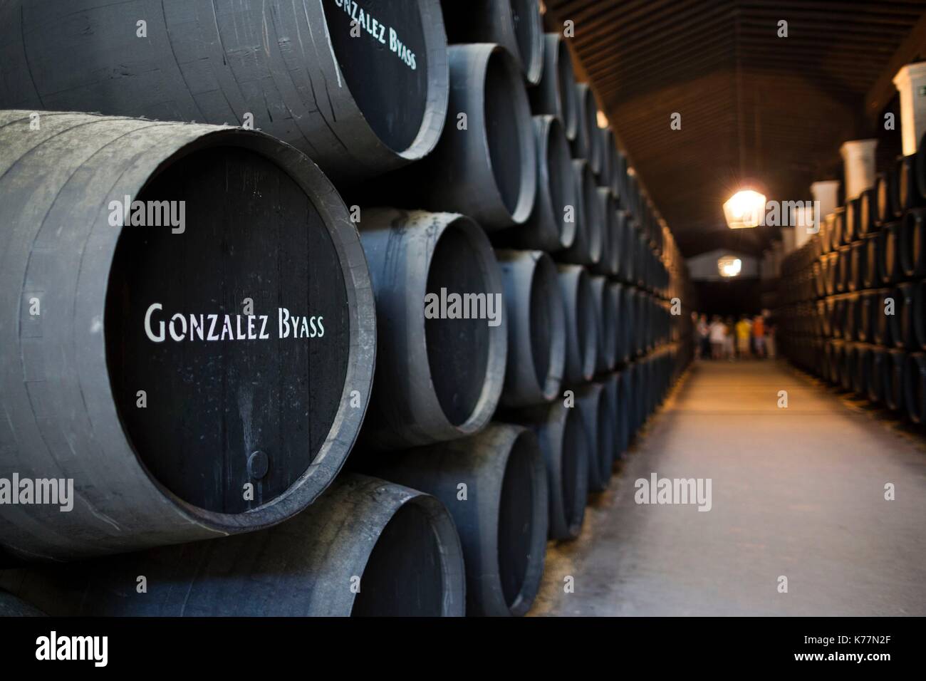 Spagna, Andalusia la regione, la provincia di Cadiz Cadice, Sherry area triangolare, Jerez de la Frontera, Bodegas Gonzalez Byass sherry botti Foto Stock