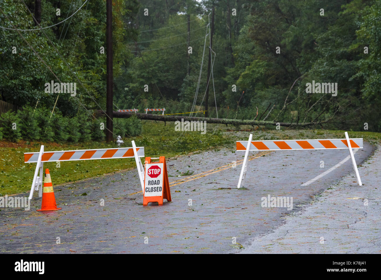 Tempesta tropicale venti da uragano irma portato estesi danni ad albero e abbattuto le linee di alimentazione in atlanta, georgia area metropolitana. (Usa) Foto Stock