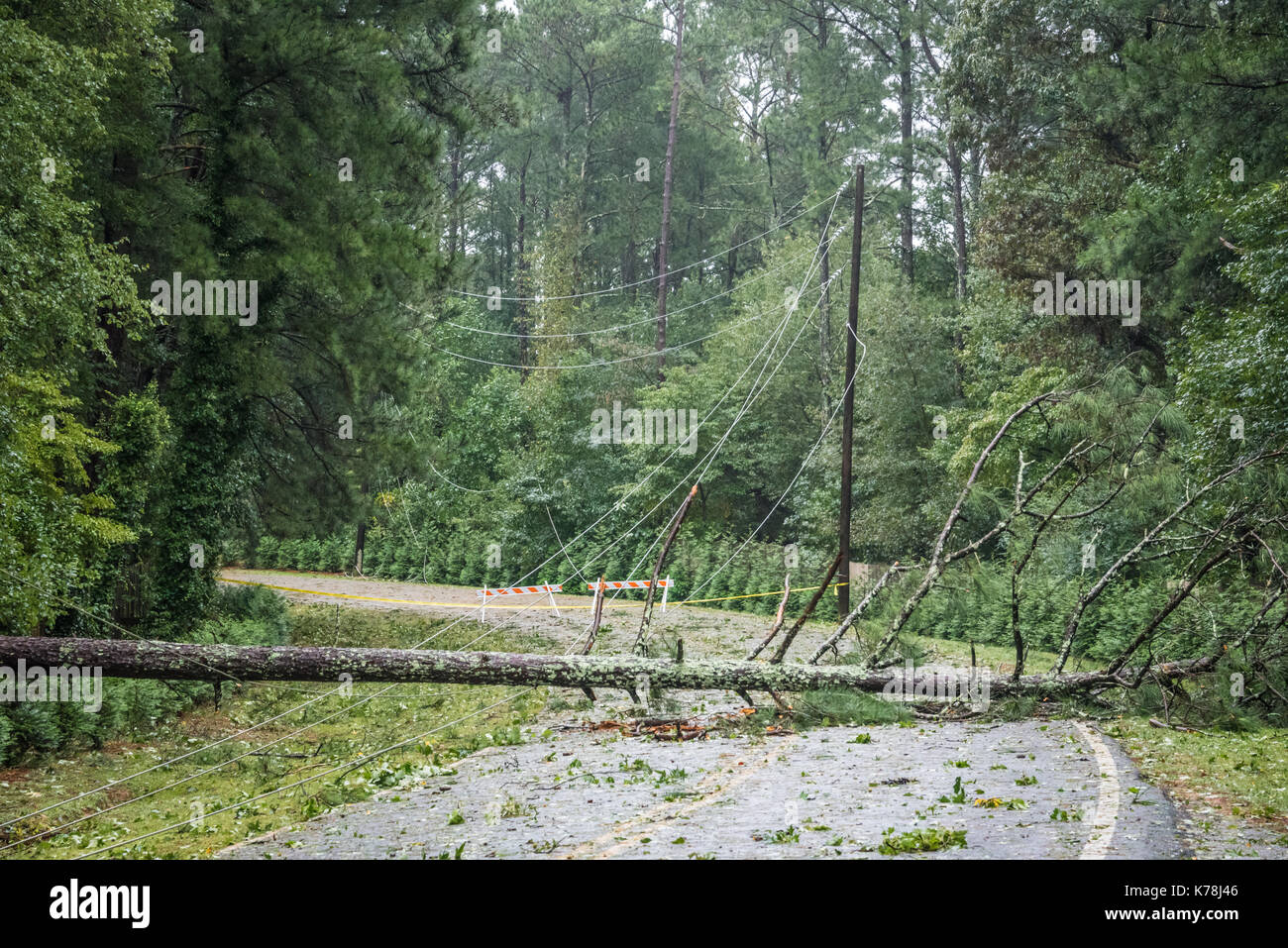 Tempesta tropicale venti da uragano irma portato estesi danni ad albero e abbattuto le linee di alimentazione in atlanta, georgia area metropolitana. (Usa) Foto Stock