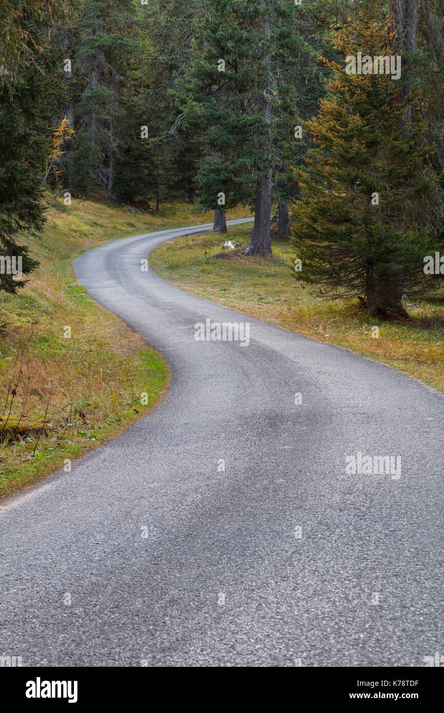 Foresta strada di montagna nelle Dolomiti vicino le Cinque Torri montagne, regione Trentino Alto Adige in Italia Foto Stock