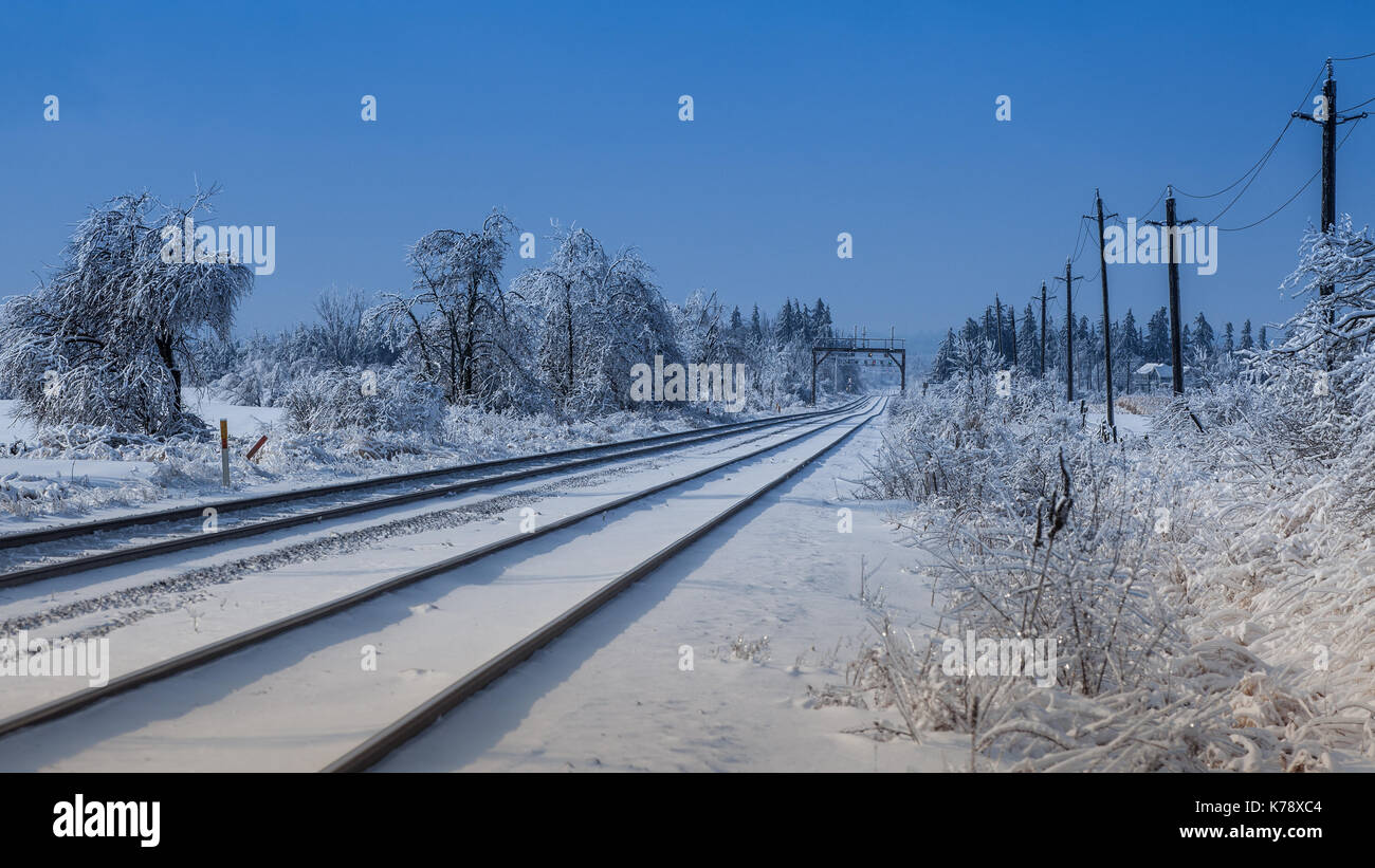 La cattura di alcuni binari del treno appena dopo una nevicata fresca ultima sera Foto Stock
