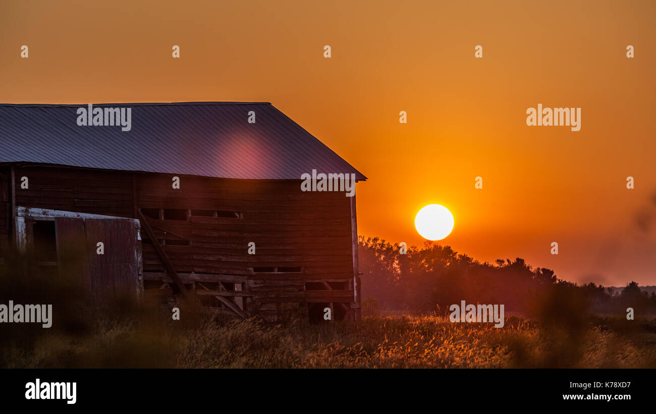 Catturate il tramonto una sera nel paese con questo molto vecchio fienile in primo piano Foto Stock