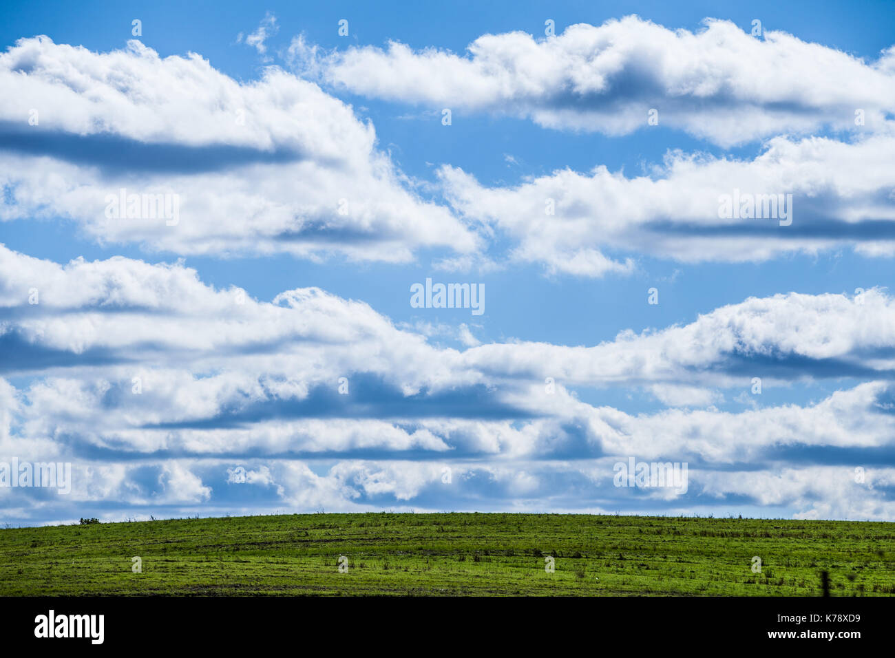 L'apertura del campo e il cielo Foto Stock