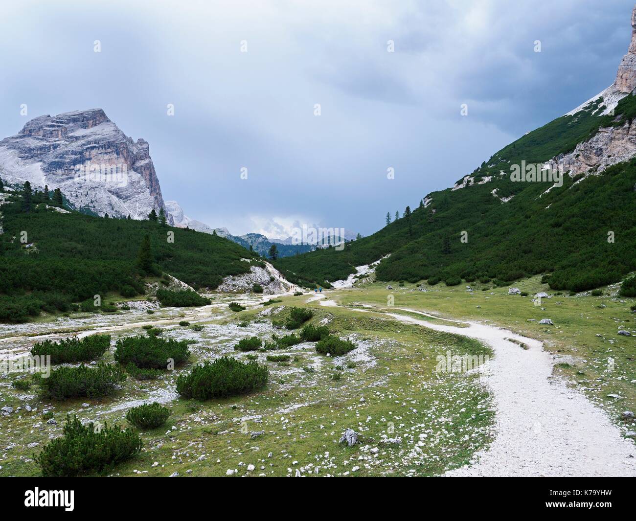 Mountain,rock,Road,pino mugo,cloud Foto Stock