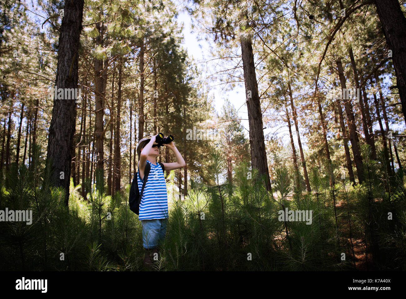 Ragazzo che guarda attraverso il binocolo durante le escursioni nei boschi Foto Stock