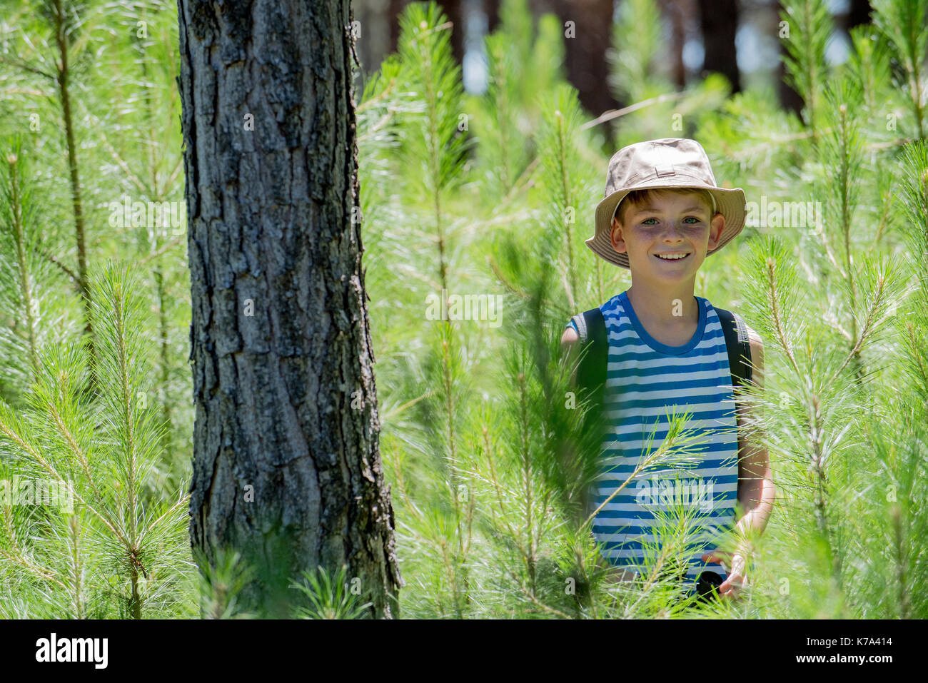 Ragazzo escursioni nei boschi, ritratto Foto Stock