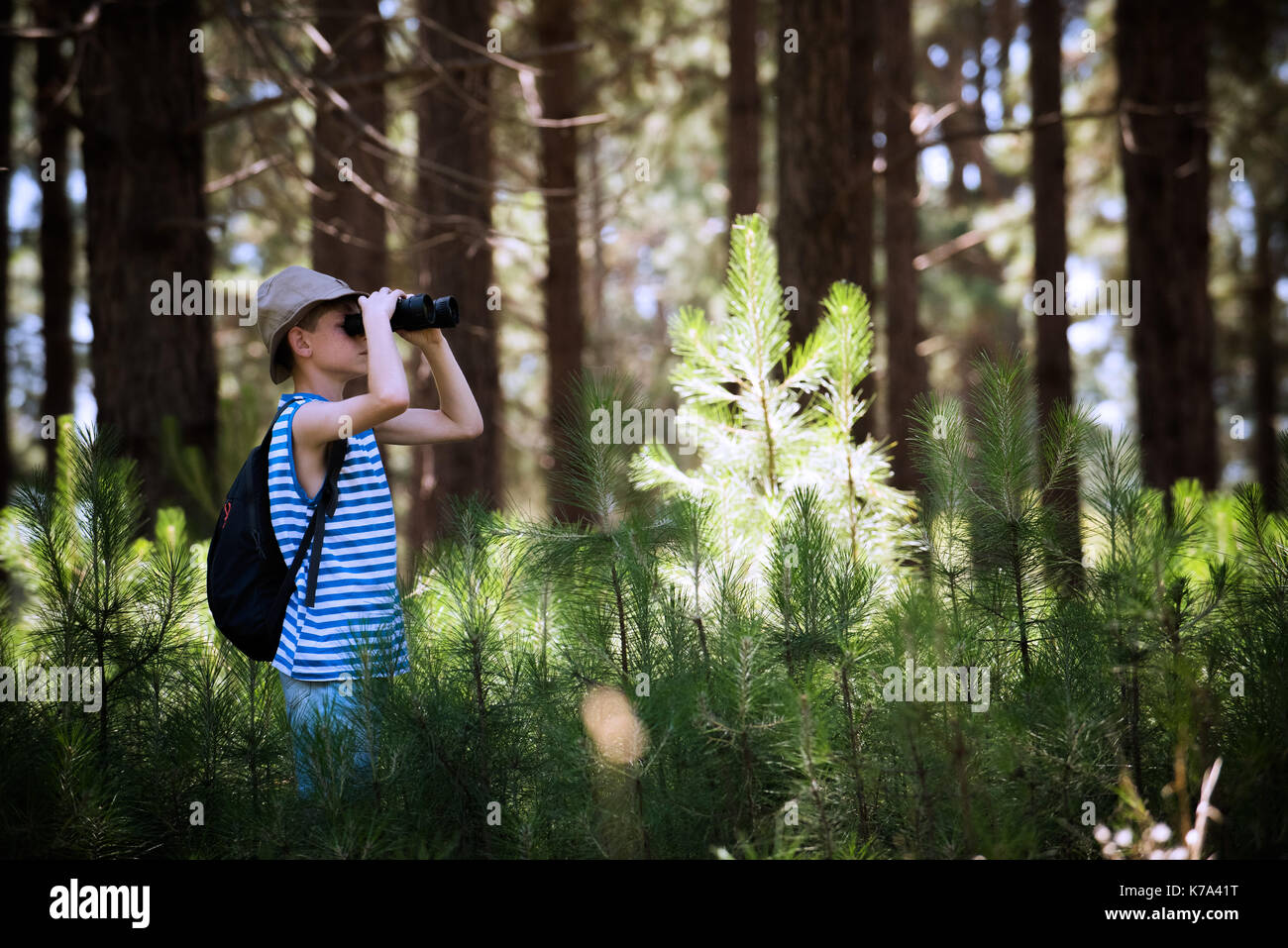 Ragazzo che guarda attraverso il binocolo di boschi Foto Stock