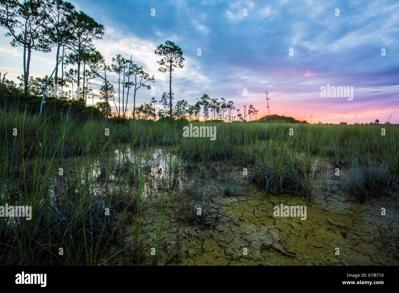 Tramonto everglades national park Lake riflessioni Foto Stock