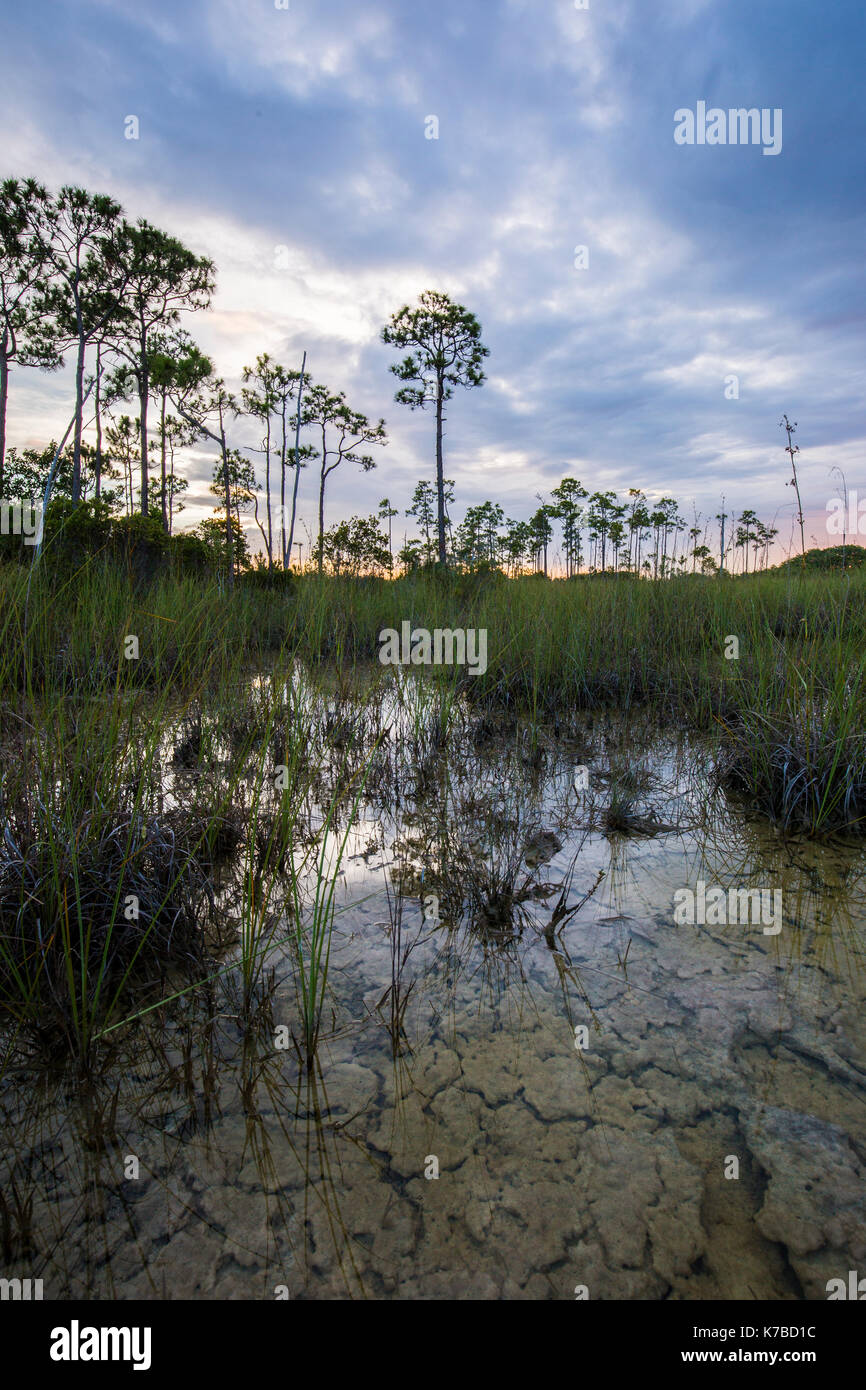 Tramonto everglades national park Lake riflessioni Foto Stock