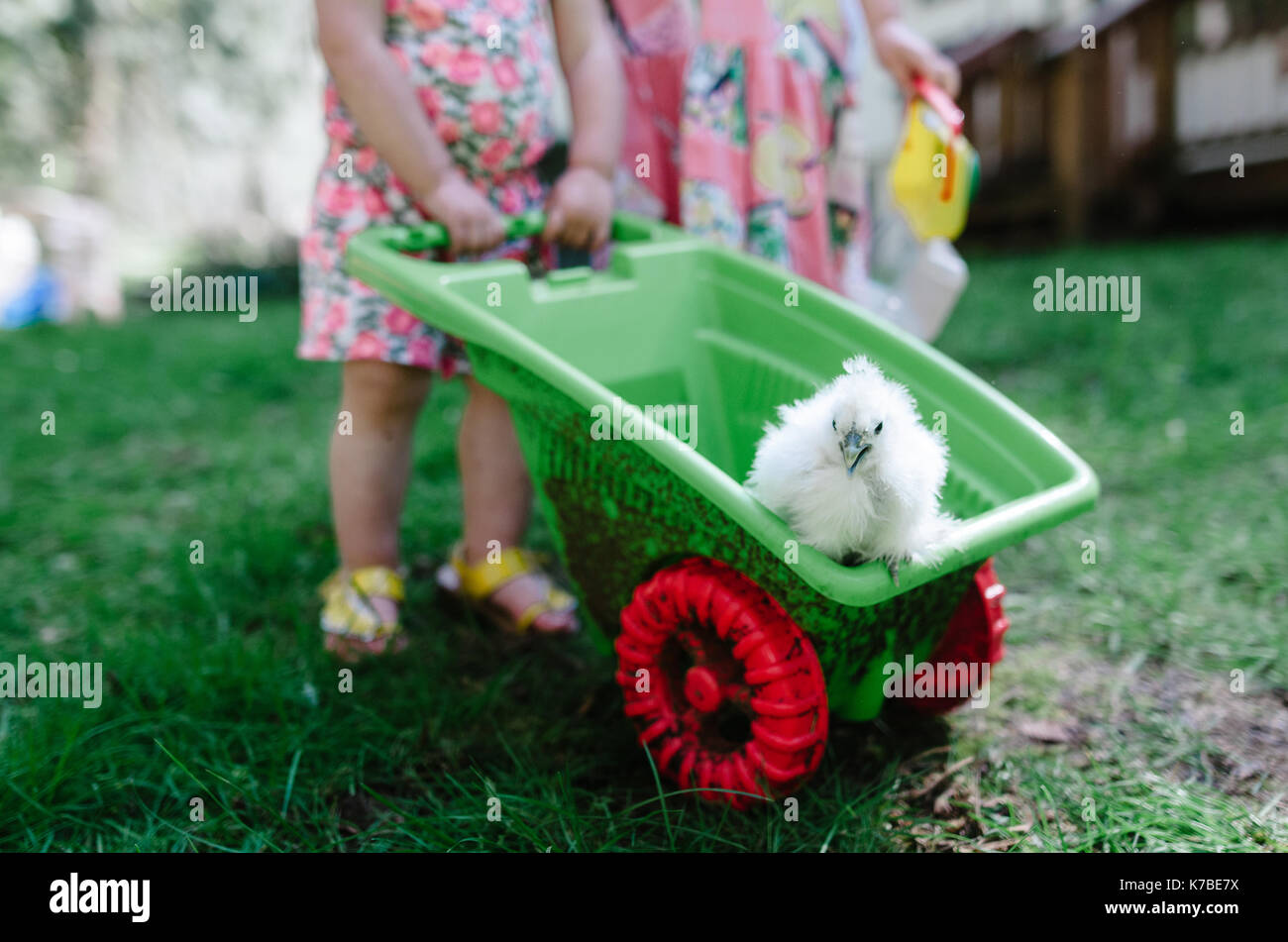 Le ragazze che trasportano bird in carriola mentre in piedi in cantiere Foto Stock