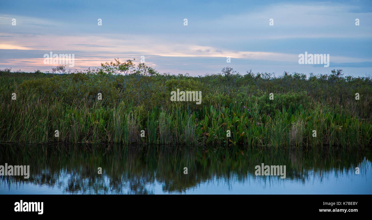 Tramonto everglades national park Lake riflessioni Foto Stock