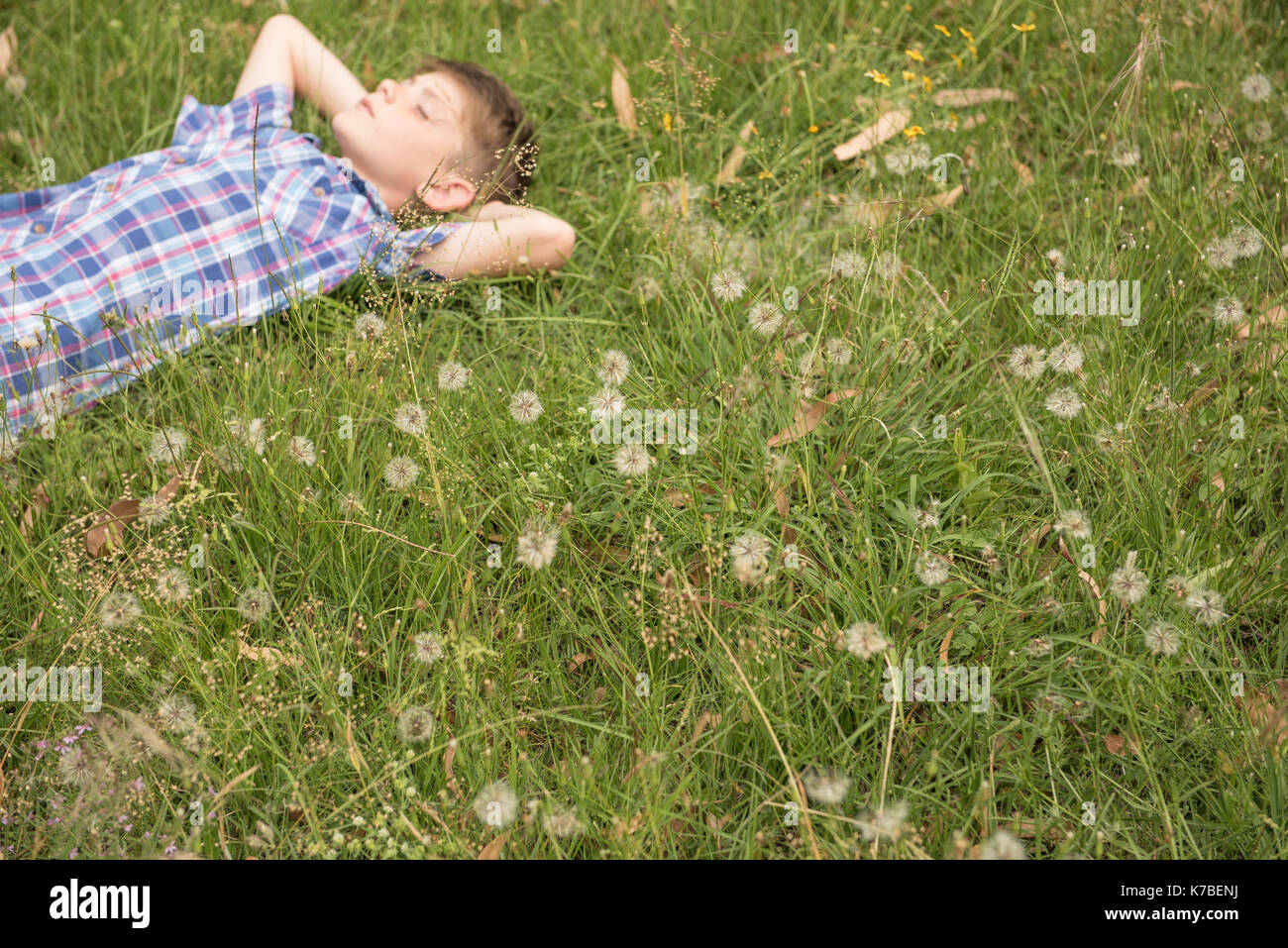 Ragazzo napping sull'erba Foto Stock