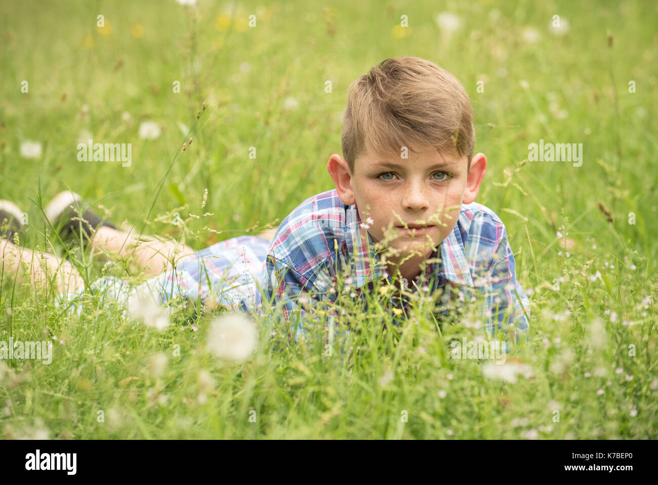 Ragazzo giacente su stomaco in erba, ritratto Foto Stock