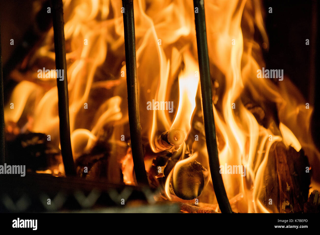 Close-up di fuoco Foto Stock
