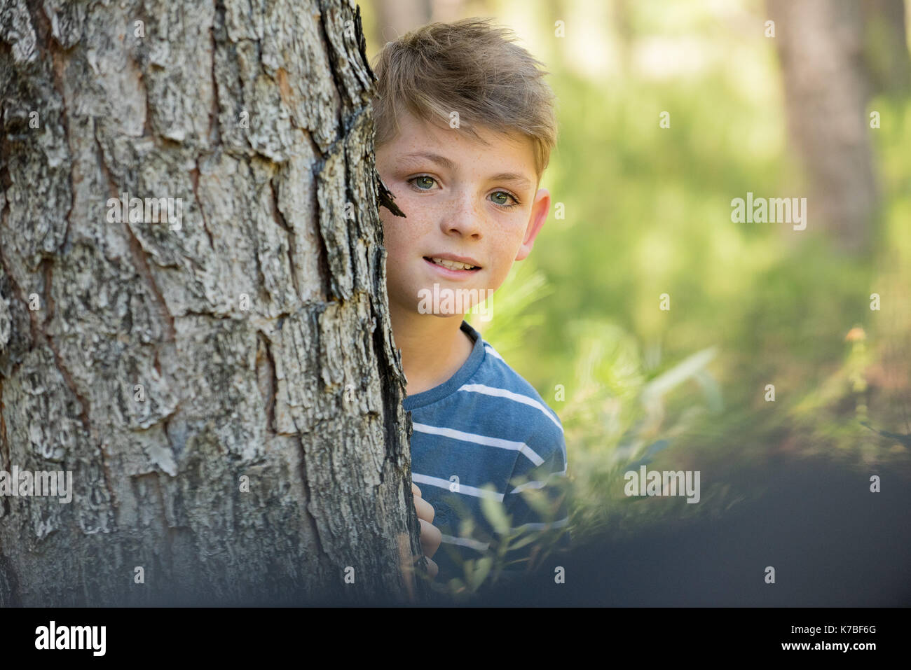 Ragazzo peeking intorno al tronco di albero, ritratto Foto Stock