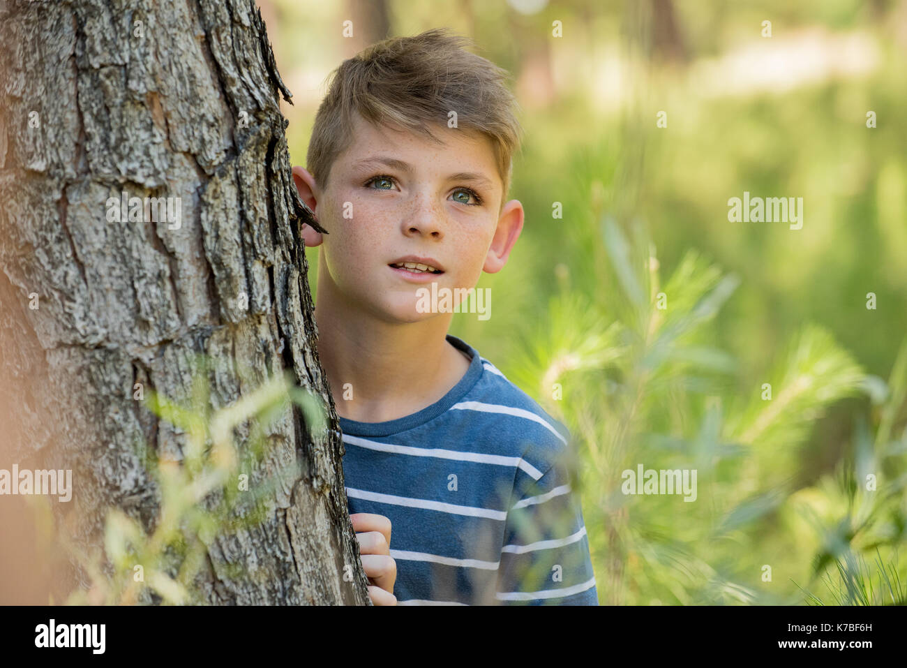 Ragazzo appoggiato contro il tronco di albero, cercando in soggezione Foto Stock