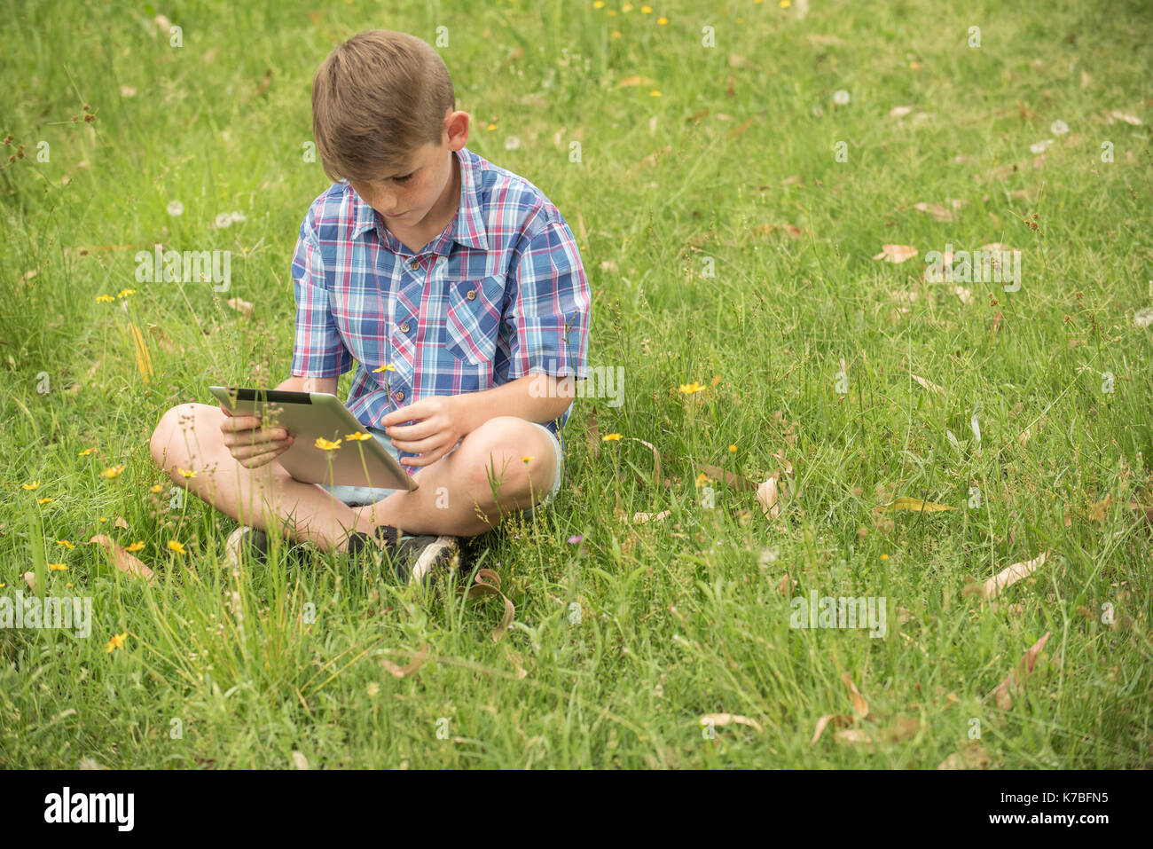 Ragazzo seduto su erba, utilizzando tavoletta digitale Foto Stock