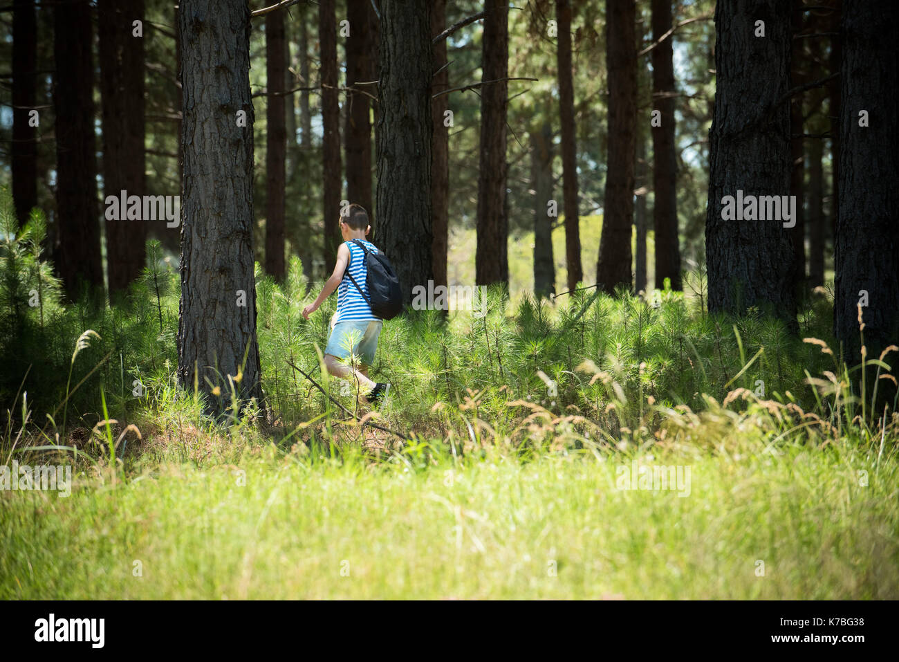 Ragazzo escursioni nei boschi Foto Stock
