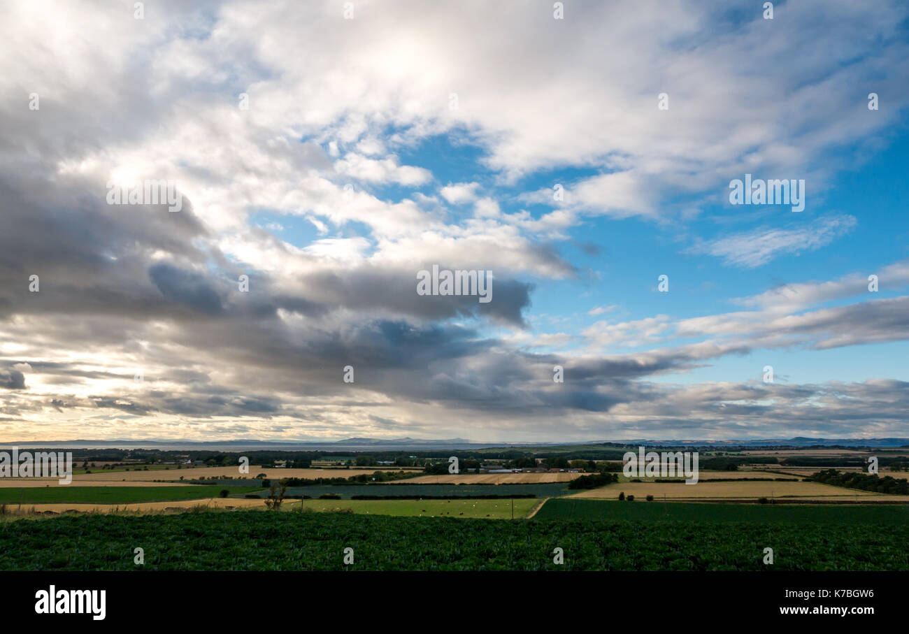 Cielo di tramonto su East Lothian farmland verso Fife e Firth of Forth, Scozia, con cavolini di Bruxelles campo in primo piano Foto Stock