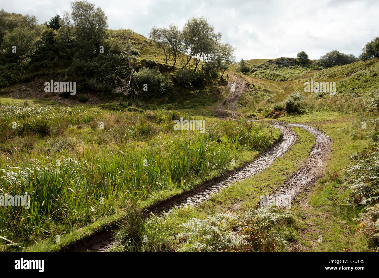 Paesaggio agricolo vicino connel, Argyll and Bute, SCOZIA Foto Stock