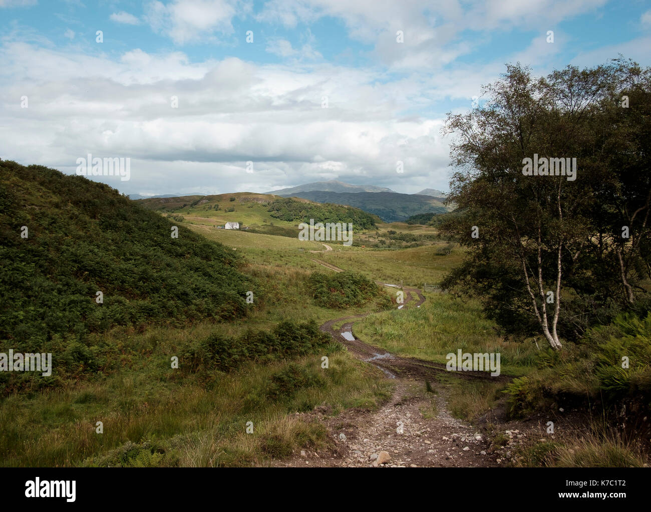 Paesaggio agricolo vicino connel, Argyll and Bute, SCOZIA Foto Stock