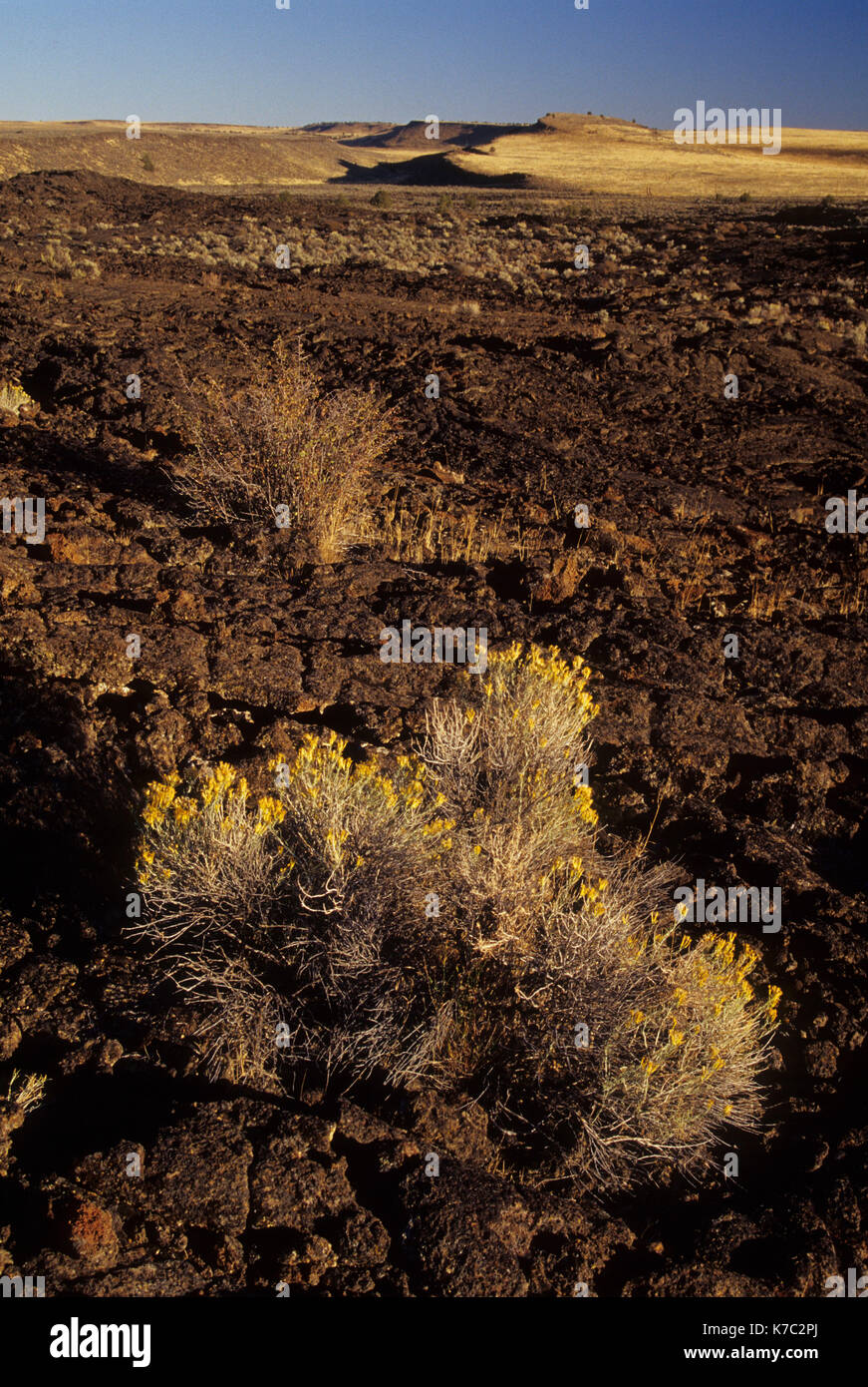 La Lava Cratere di flusso, crateri di Diamante Eccezionale area naturale, Diamante nazionale Loop Back Country Byway, Harney County, Oregon Foto Stock