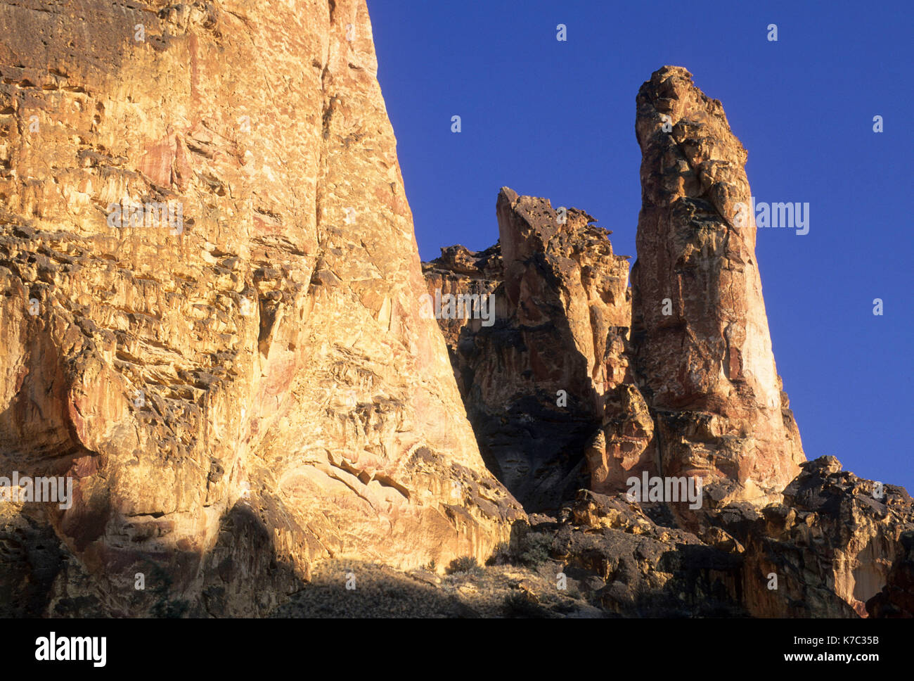 Riolite affioramento, Leslie Gulch Area di fondamentale interesse ambientale, Oregon Foto Stock