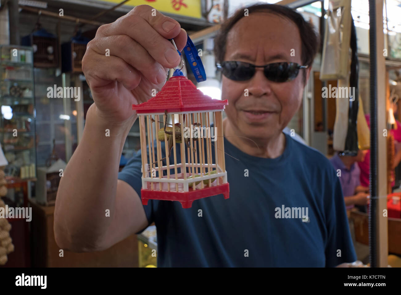 Uomo cinese tenendo una gabbia con il cricket venduto come un animale in un mercato tradizionale di shanghai, Cina, Asia. Asian negozio di animali selvatici, esotici ho Foto Stock