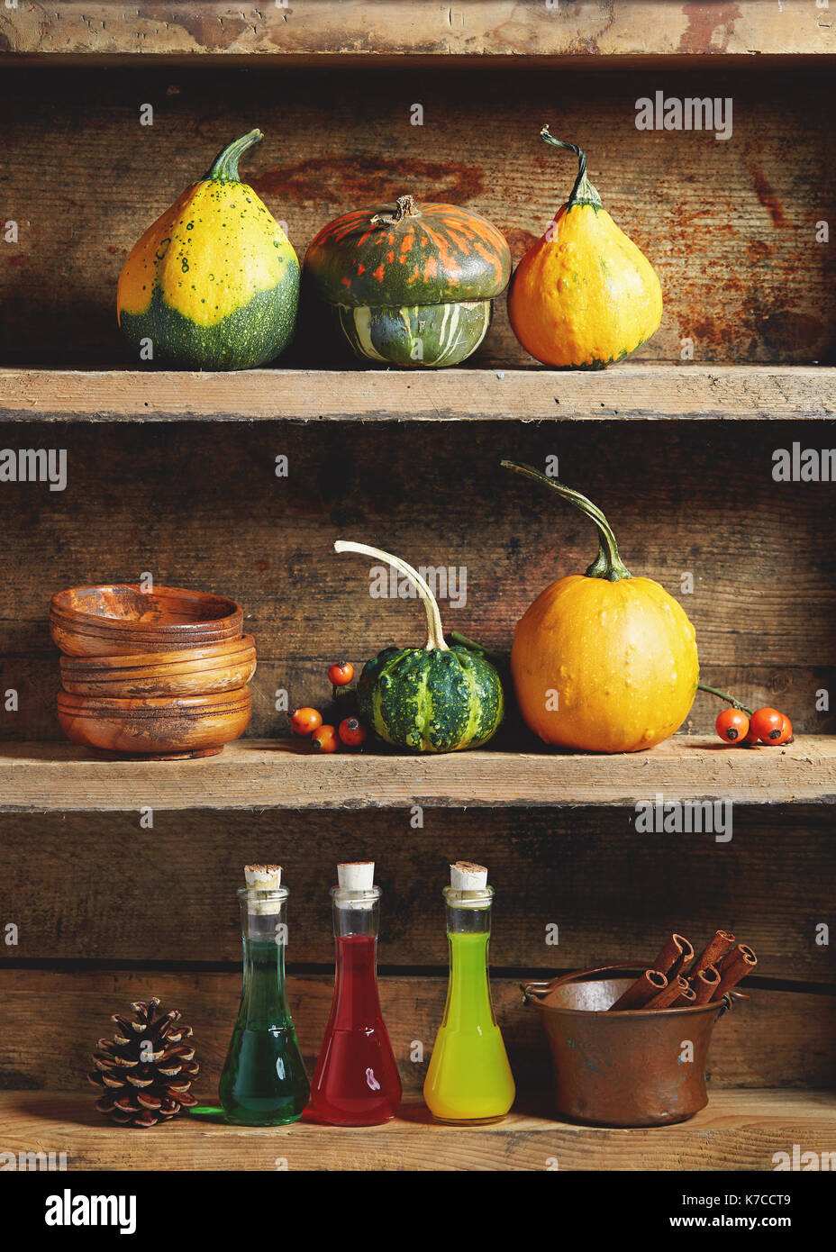 Disposizione di autunno: vari tipi di motivi decorativi e zucche commestibili con la pozione magica bottiglie andbowls su vecchi scaffali in legno. Foto Stock