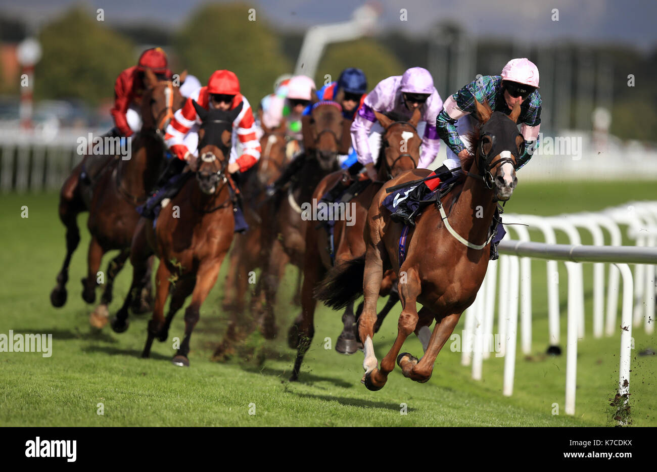 Guide e piloti scattare la prima piega del doncaster cup durante il giorno tre del William hill st. leger festival a Doncaster Racecourse. Foto Stock