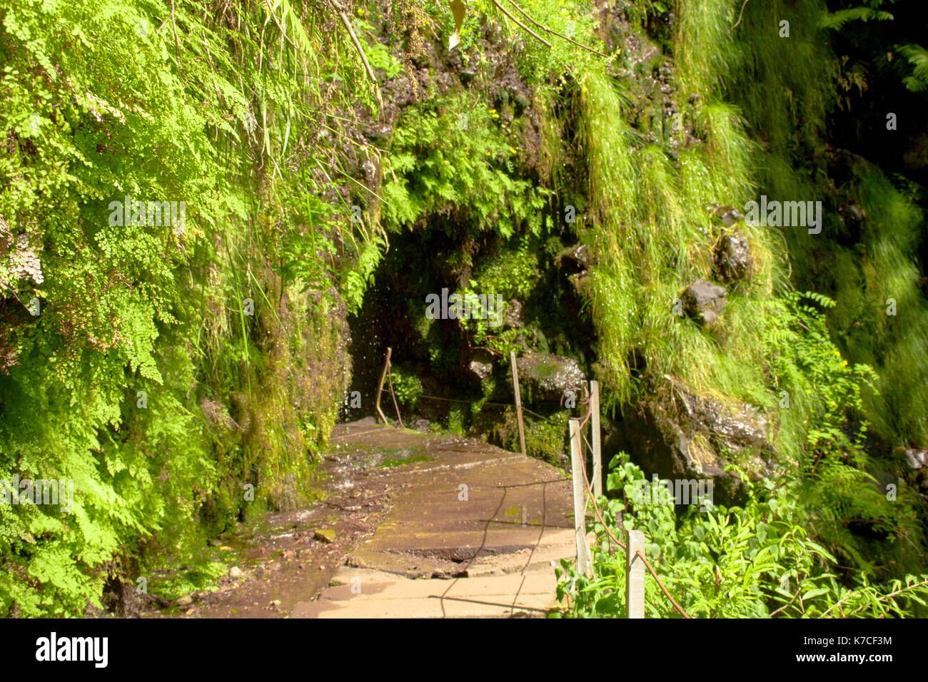 Una bella camminata di levada in soa vincente, madera. Gli splendidi paesaggi e natura paesaggio è irreale. Foto Stock