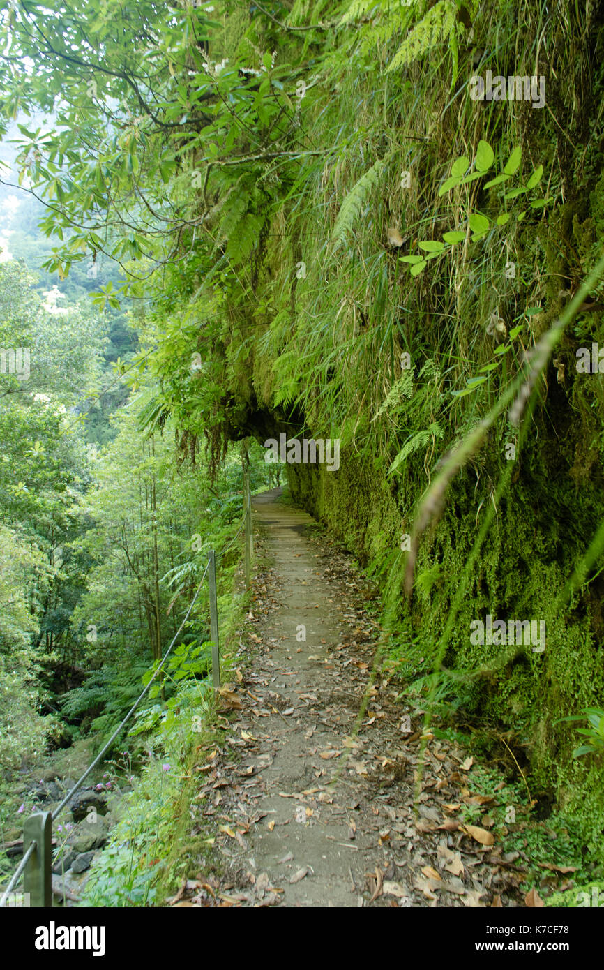 Una bella camminata di levada in soa vincente, madera. Gli splendidi paesaggi e natura paesaggio è irreale. Foto Stock