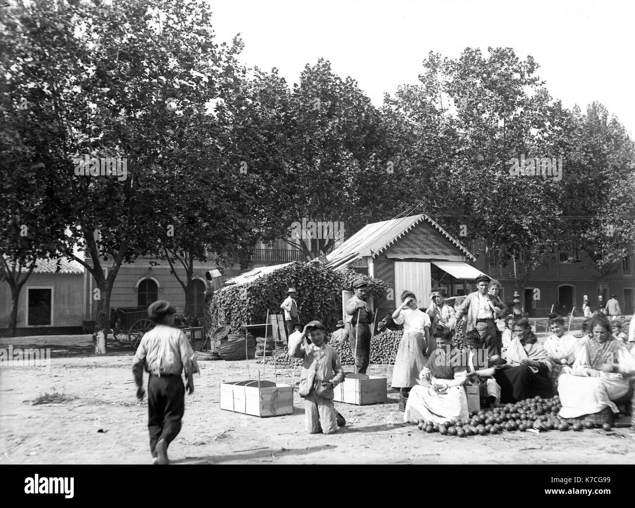 Siviglia Spagna donne arance di imballaggio per il mercato nel 1890 Spagna Europa Foto Stock