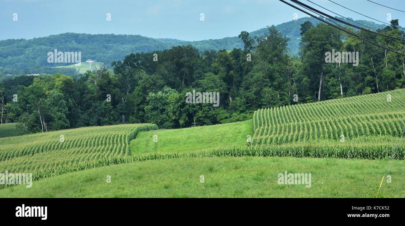 In Pennsylvania Scenic Farmland paesaggio Foto Stock