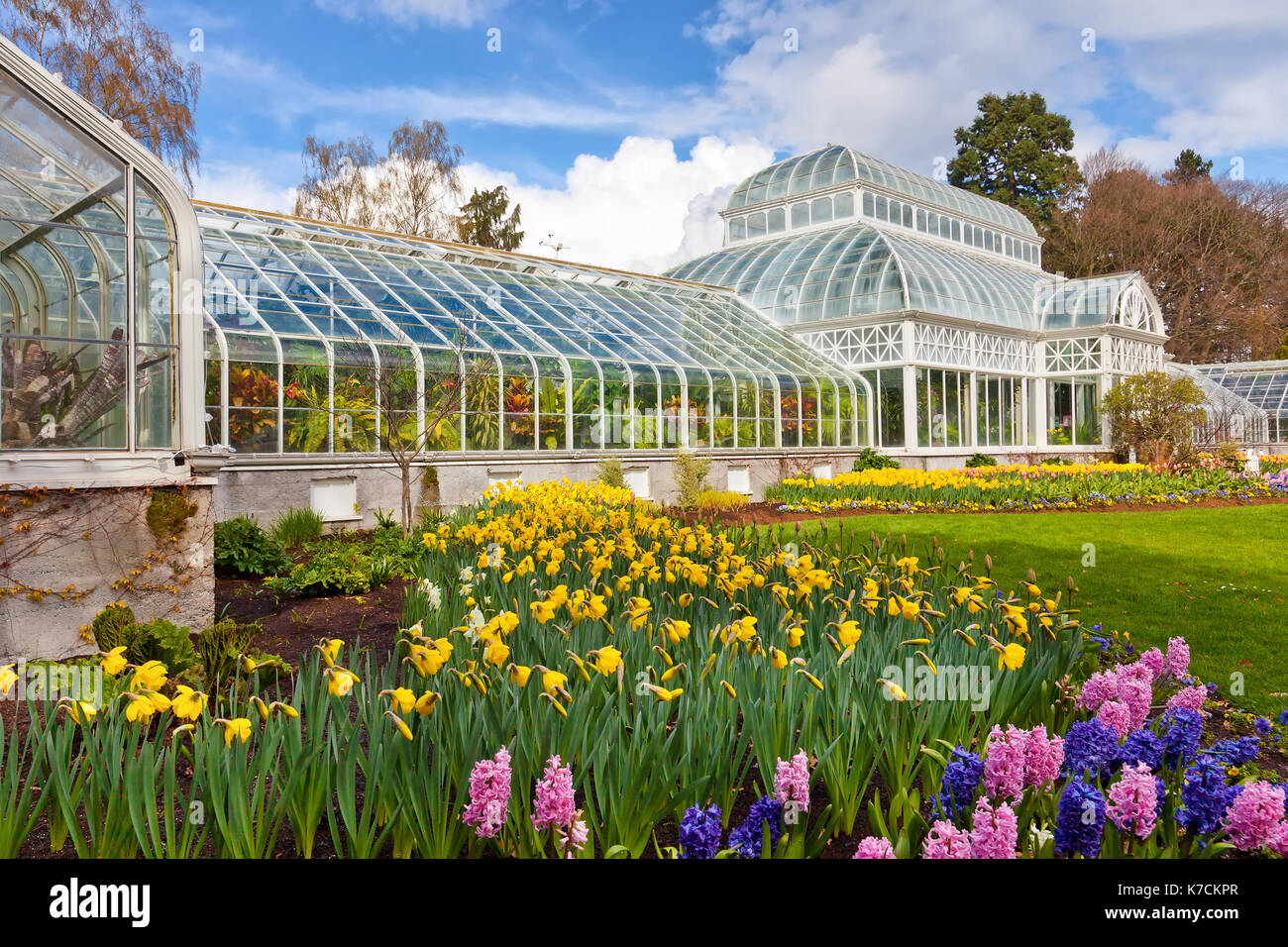 Seattle conservatorio di fiori in piena fioritura. parco dei volontari Foto Stock