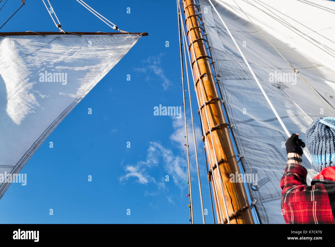 Barca a vela equipaggio tira funi per sollevare la vela fino al palo. guardando in alto Foto Stock