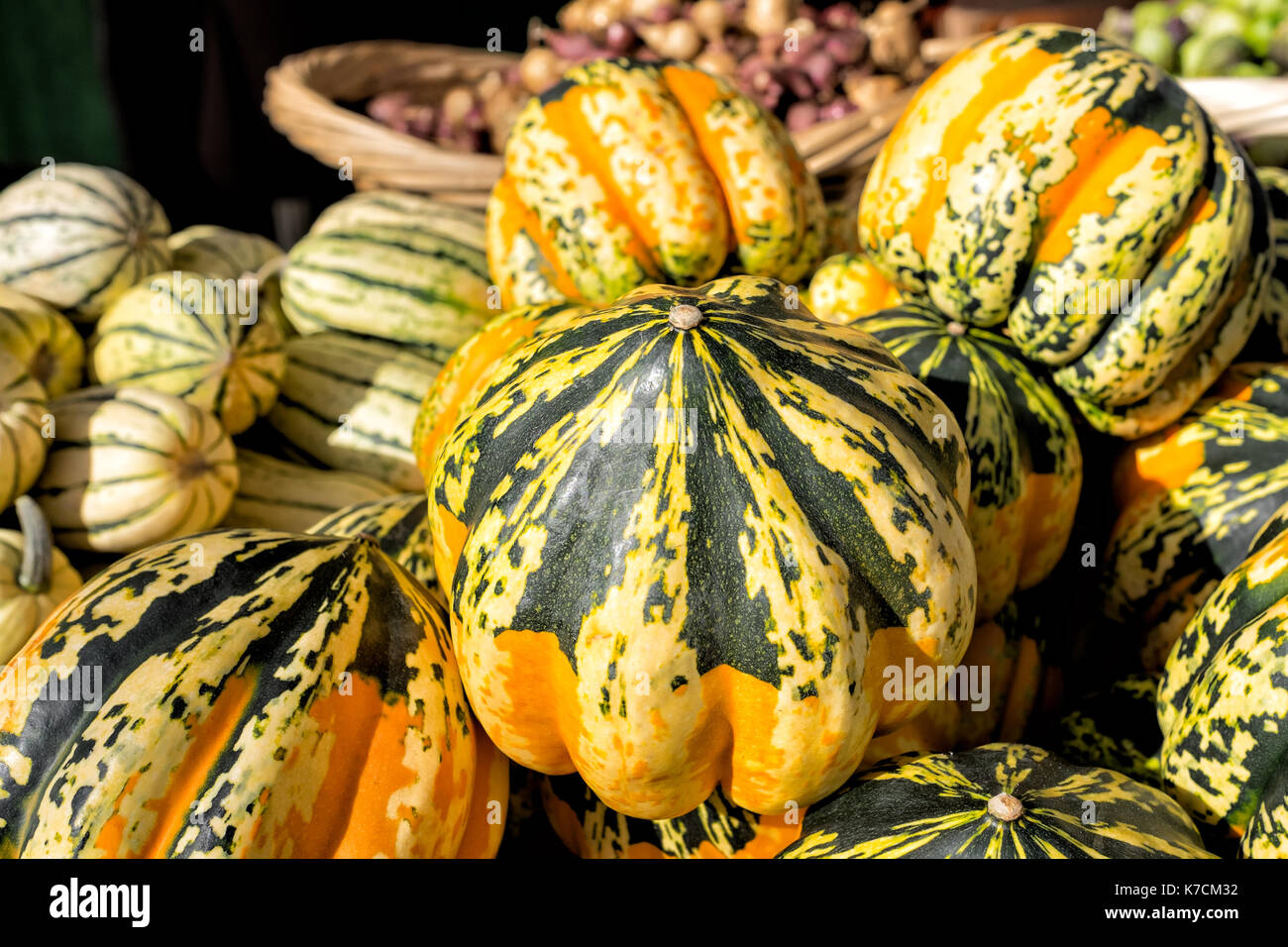 Inverno schiaccia sul display per la vendita in un mercato degli agricoltori. Dalla fattoria alla tavola. Foto Stock