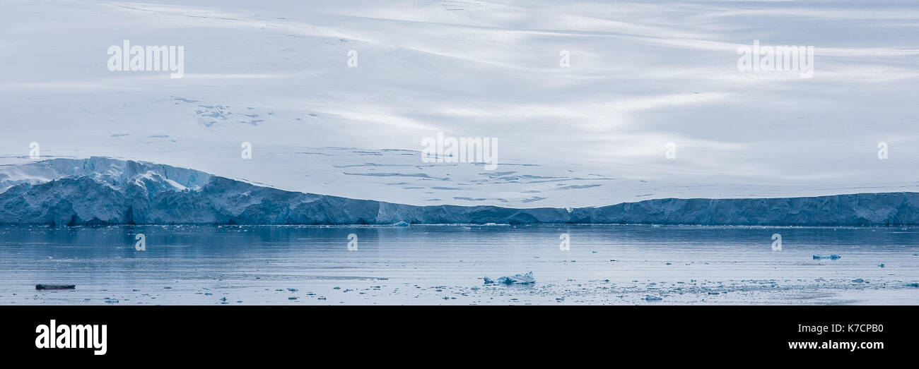 Half Moon Island, Antartide Foto Stock