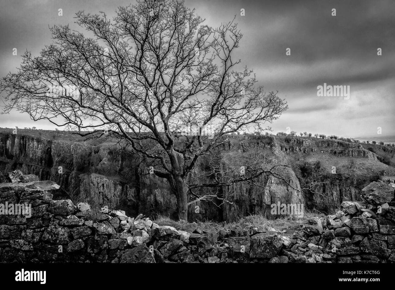 Tree Top travelon del cheddar gorge, Somerset. Foto Stock