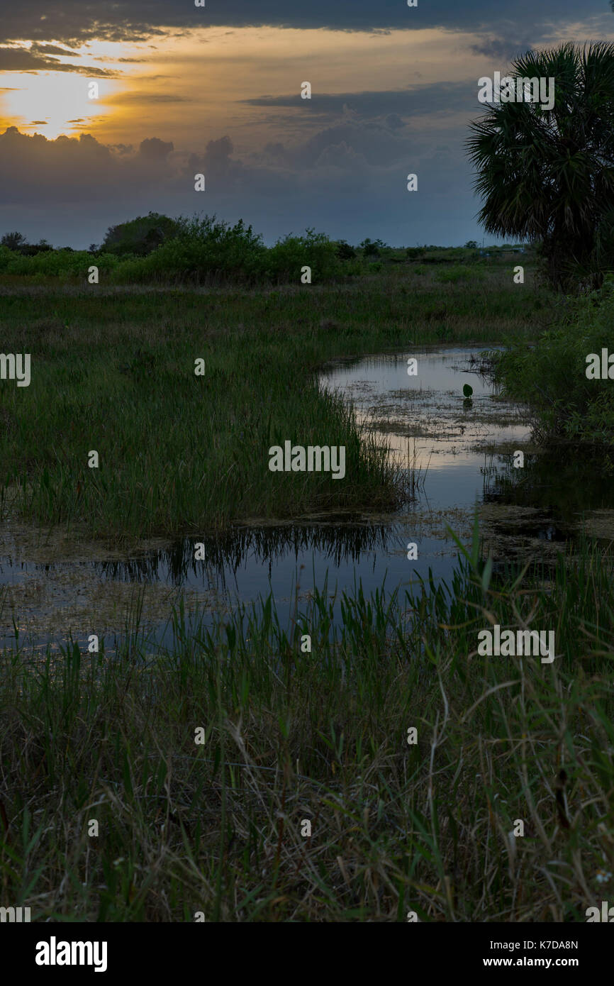 Tramonto everglades national park Lake riflessioni Foto Stock