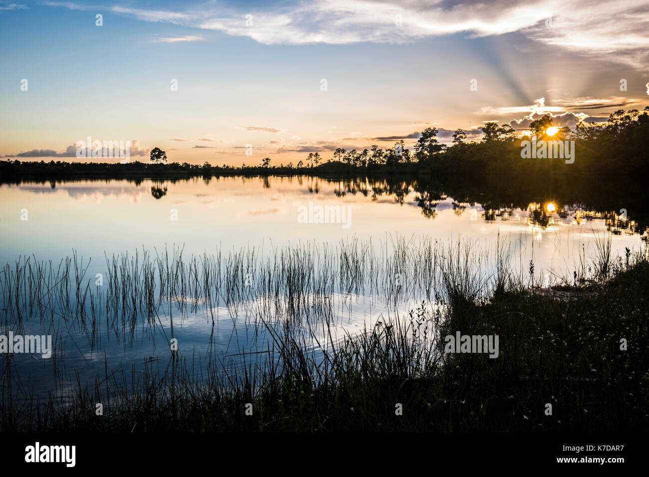 Tramonto everglades national park Lake riflessioni Foto Stock