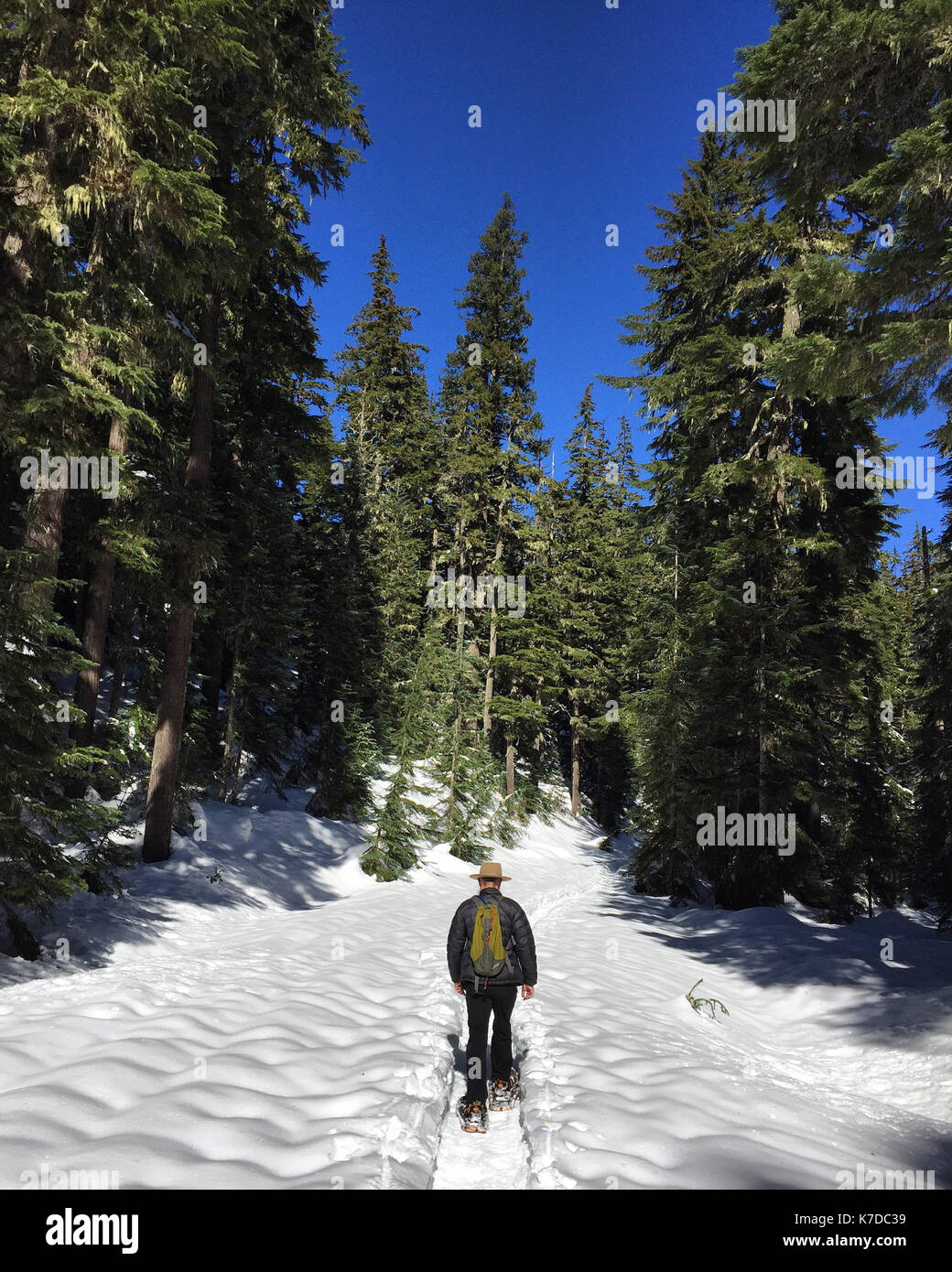 Vista posteriore dell'uomo con zaino passeggiate sulla neve campo coperto Foto Stock